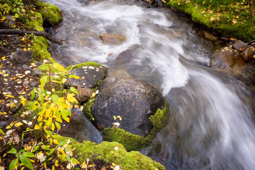 9 30 25 fallcolors mcgeecreek kimespinosa 019
