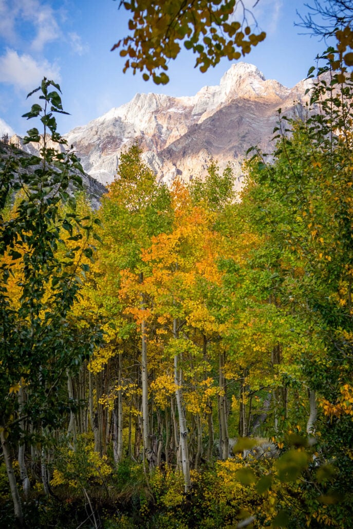 9 30 25 fallcolors mcgeecreek kimespinosa 065