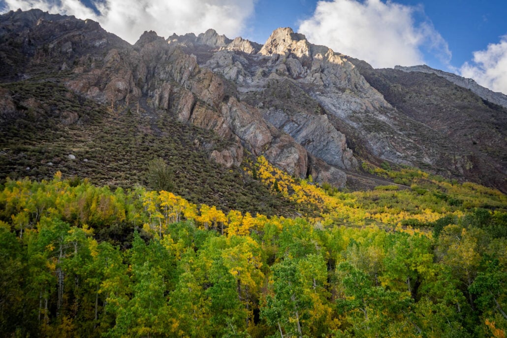 9 30 25 fallcolors mcgeecreek kimespinosa 083
