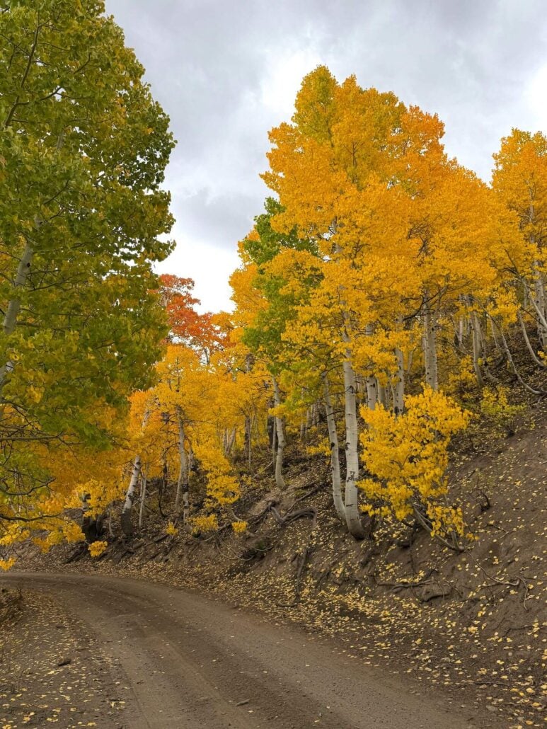 9.29.25 lobdell amanda carlson, mono county tourism 1