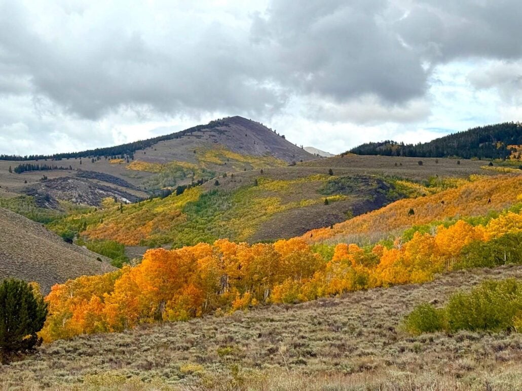 9.29.25 lobdell amanda carlson, mono county tourism 8