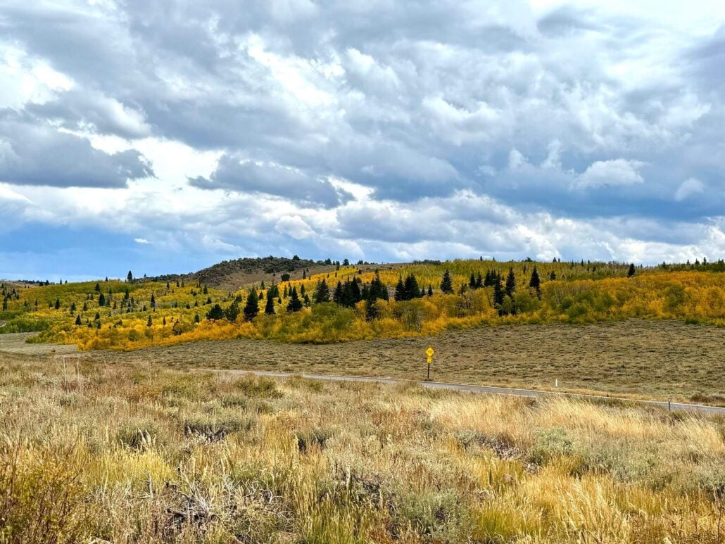 9.29.25 monitor pass amanda carlson, mono county tourism 2