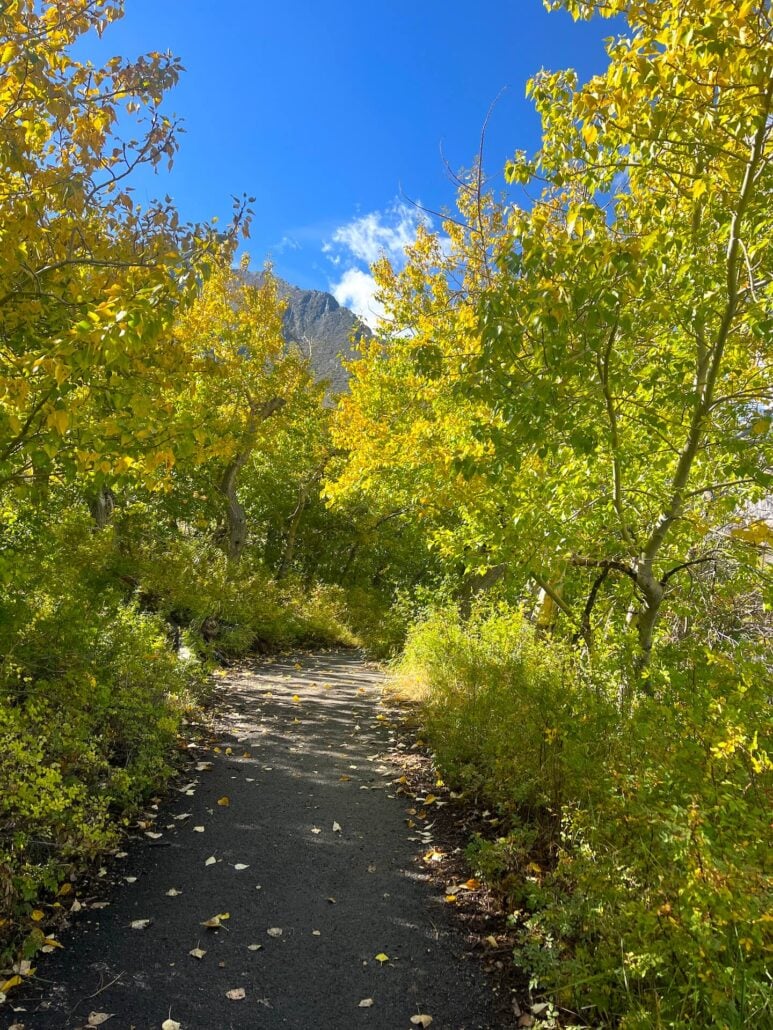 9.30.25 convict lake trail emily bryant, mono county tourism