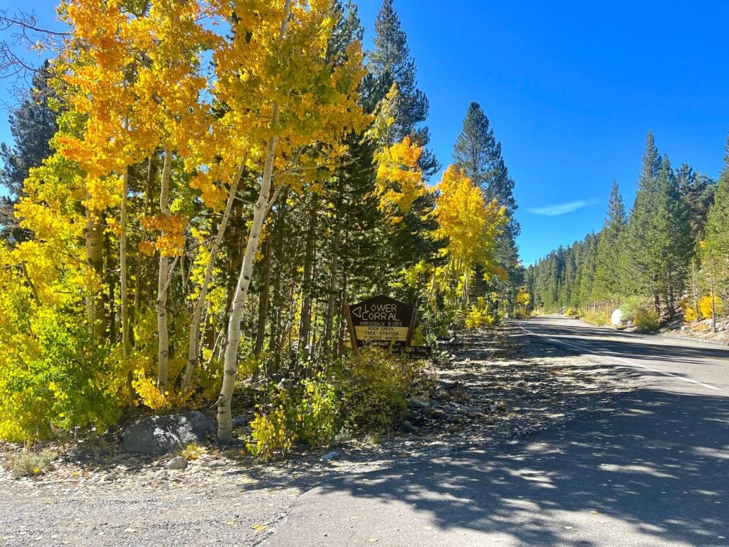 9.30.25 rock creek lower corral emily bryant, mono county tourism 2