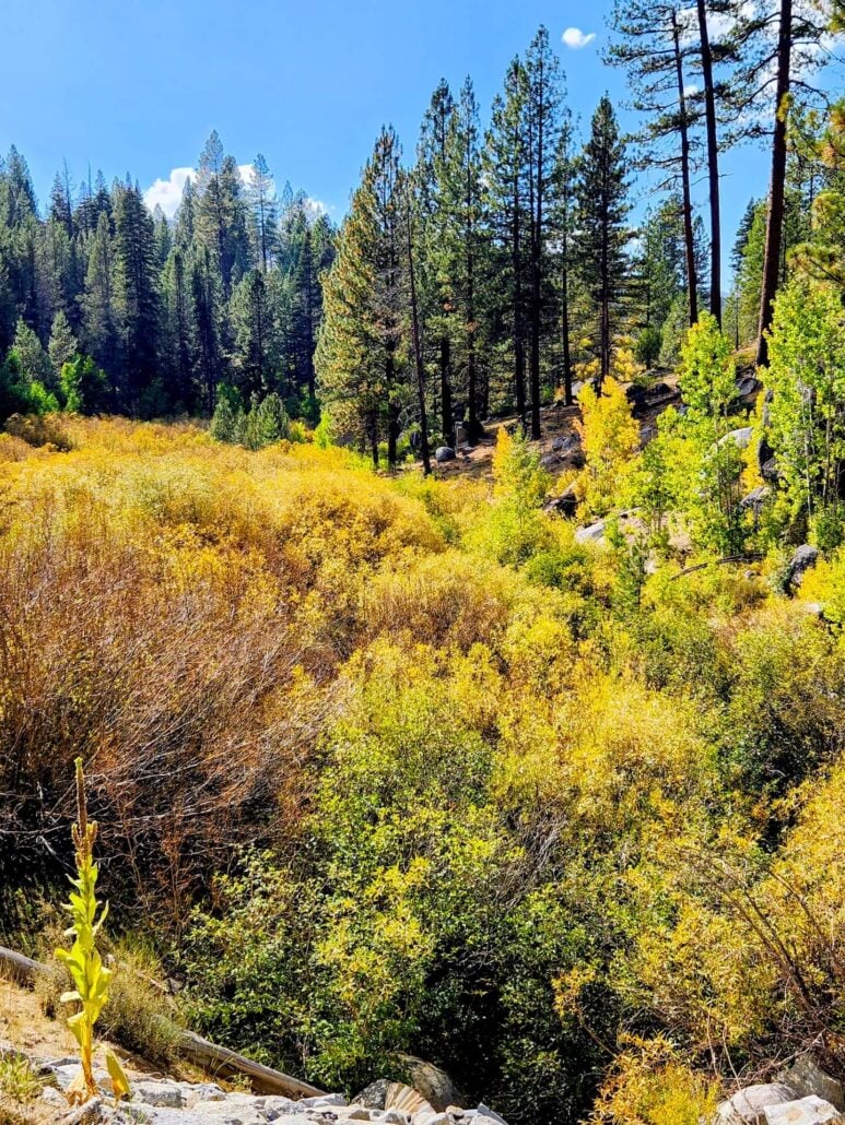 Antelope lake