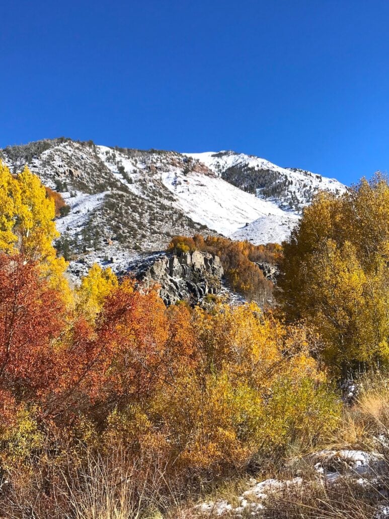 Bcc south fork 10 15 25 1