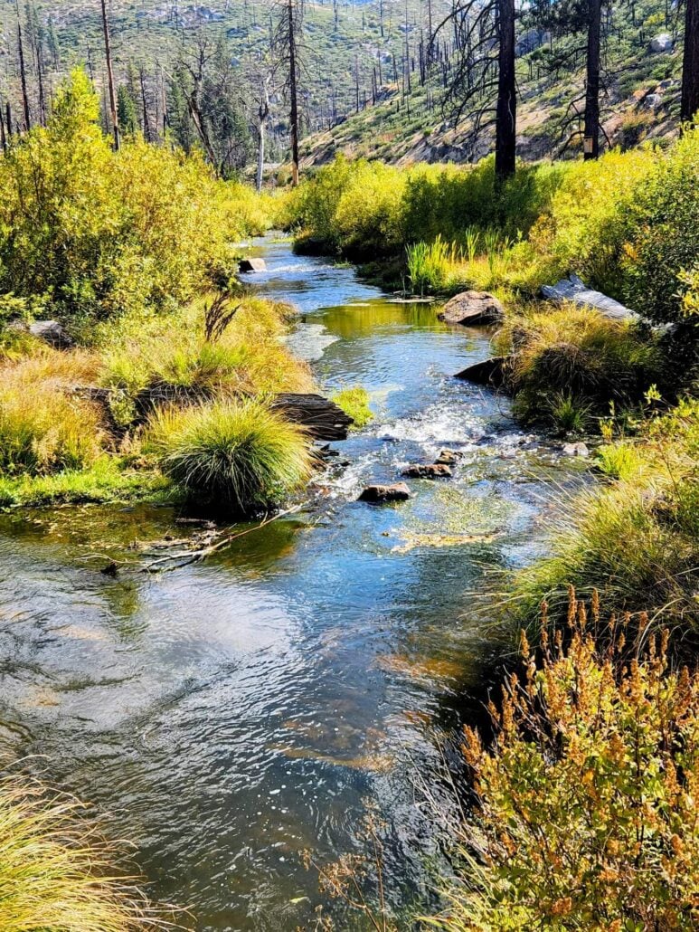Babcock crossing