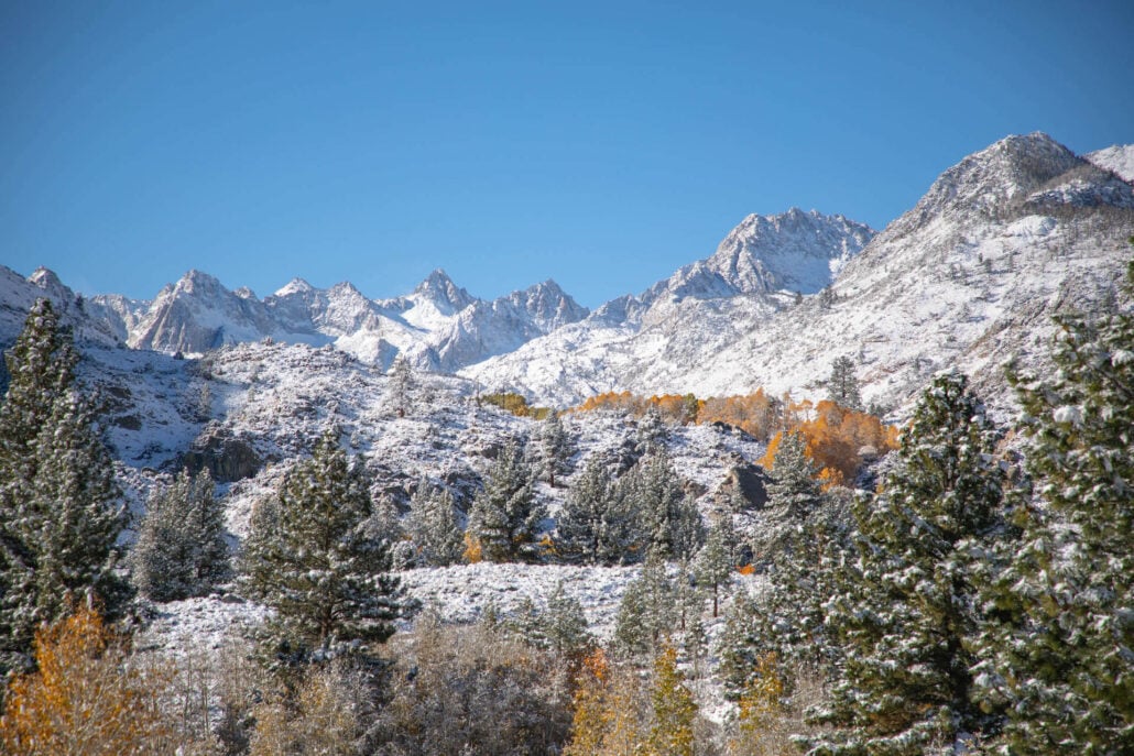 Bishop creek canyon 10.15.25 photo credit jeff simpson 10