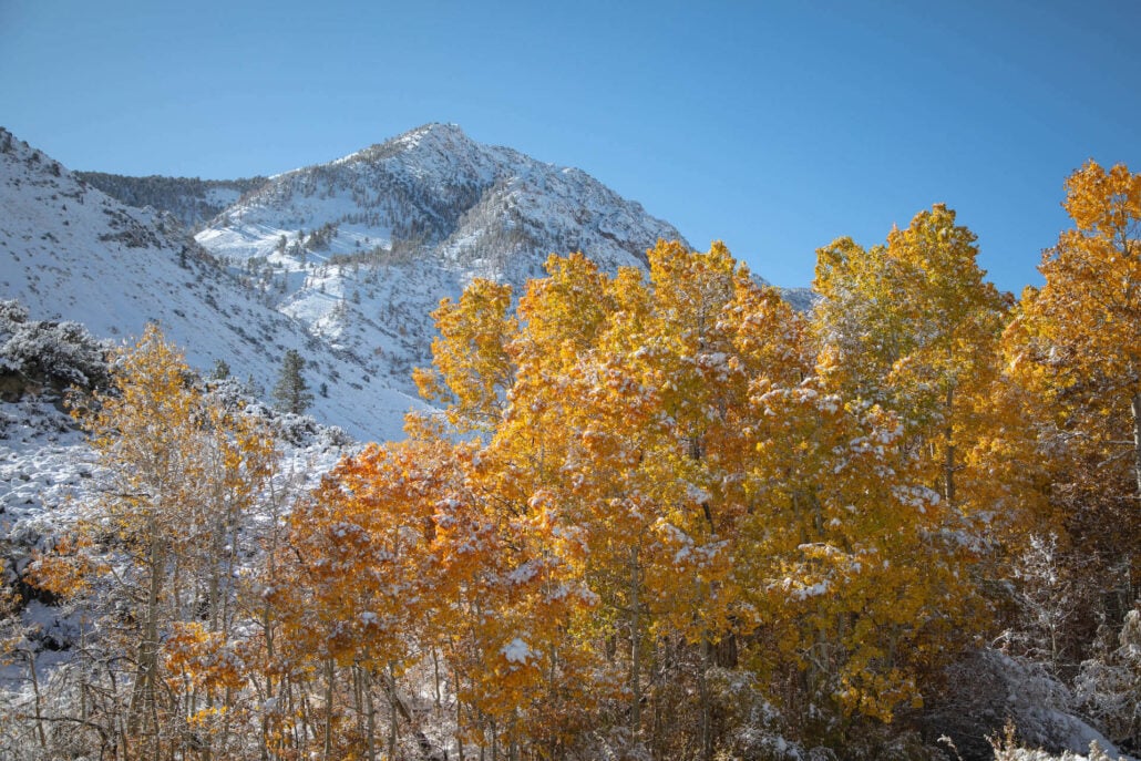 Bishop creek canyon 10.15.25 photo credit jeff simpson 13