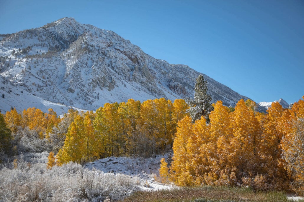 Bishop creek canyon 10.15.25 photo credit jeff simpson 14