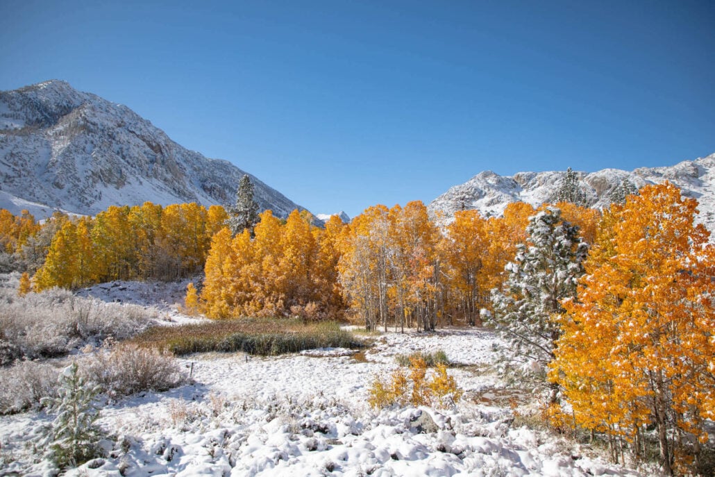 Bishop creek canyon 10.15.25 photo credit jeff simpson 17