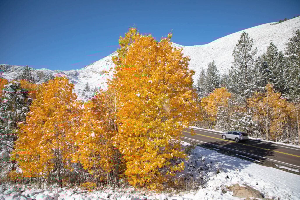 Bishop creek canyon 10.15.25 photo credit jeff simpson 18
