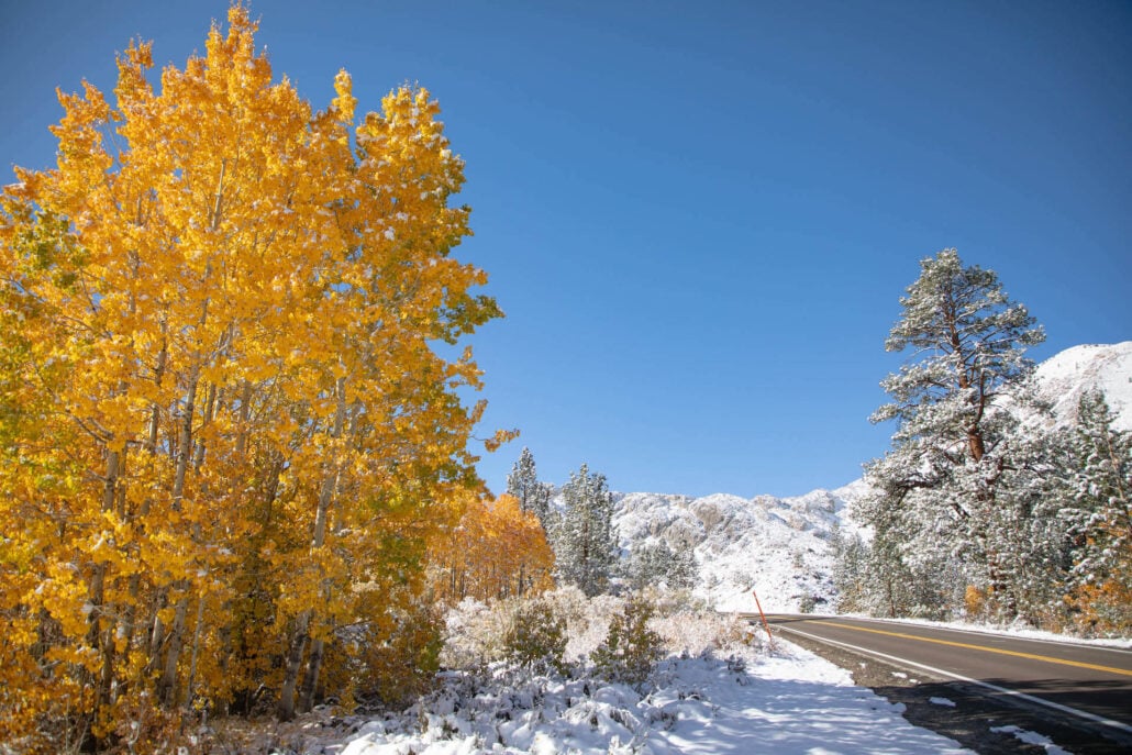 Bishop creek canyon 10.15.25 photo credit jeff simpson 22