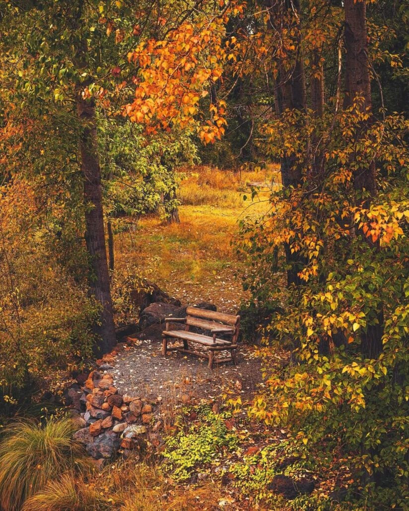 Chester park bench by jake edwards