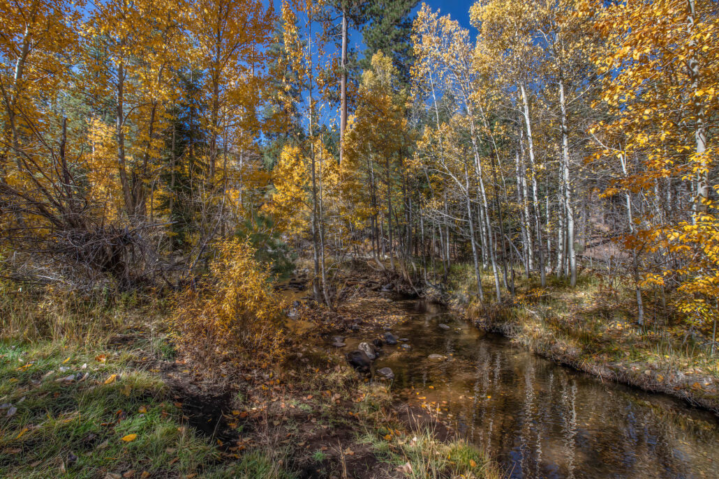 Cold creek campground