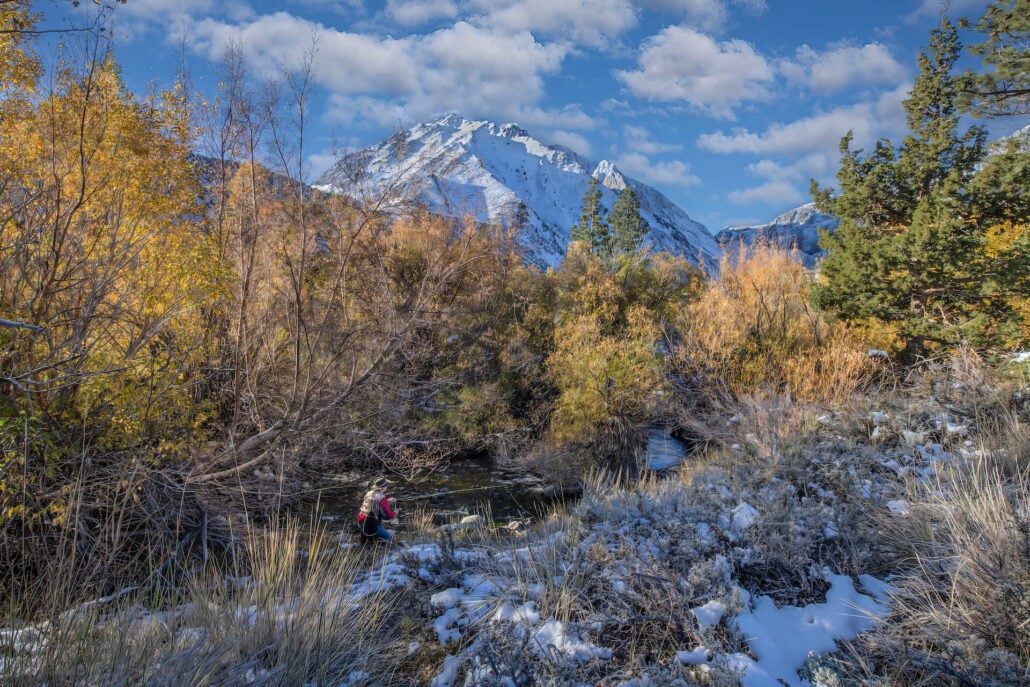Convict creek 2