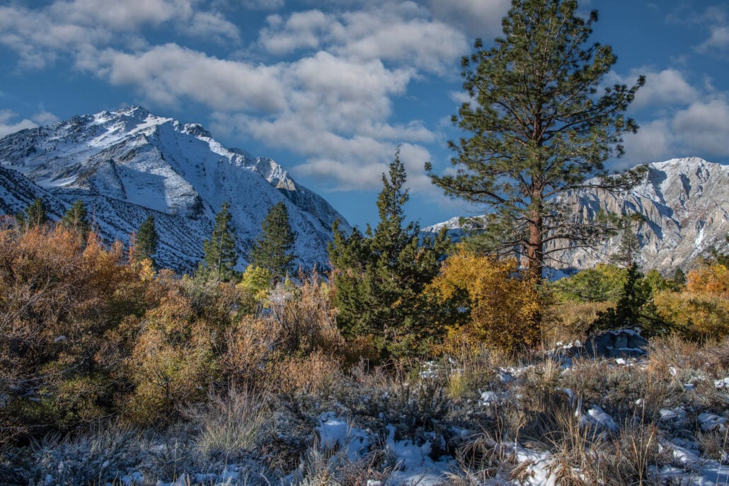 Convict lake road 2