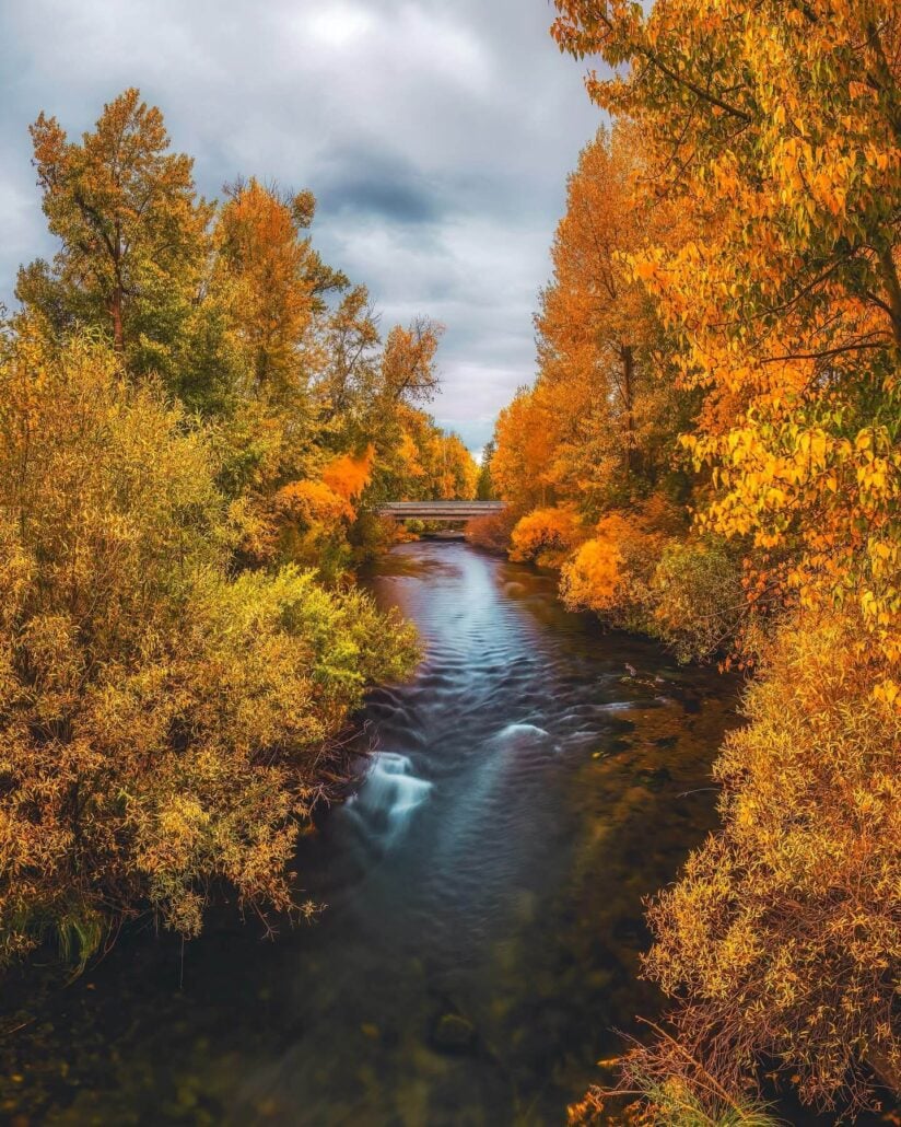 Feather river rolling through chester dressed in fall by jake edwards