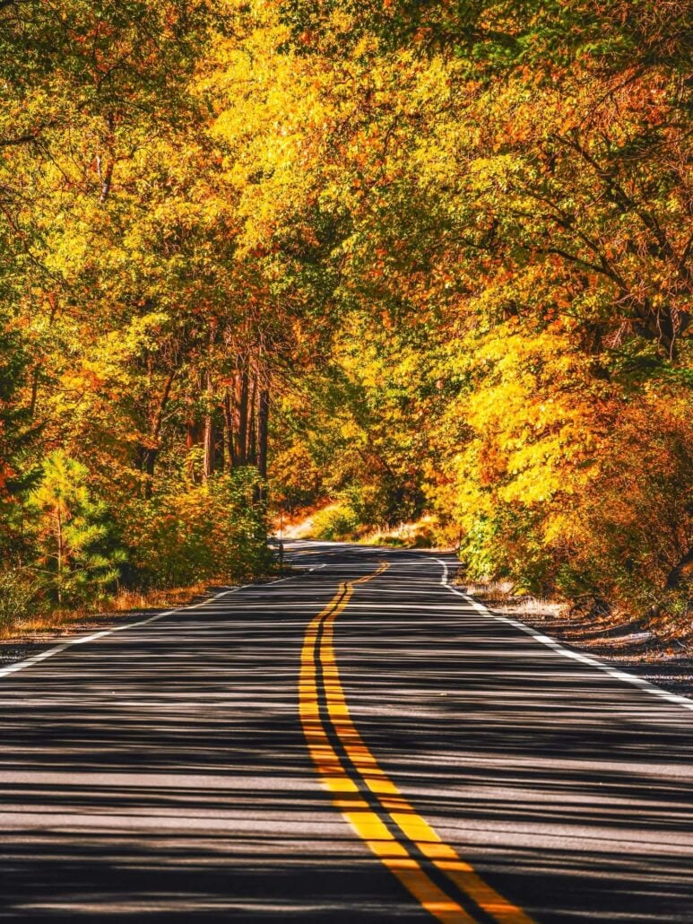 Highway 32 decorated in fall colors courtesy of jake edwards