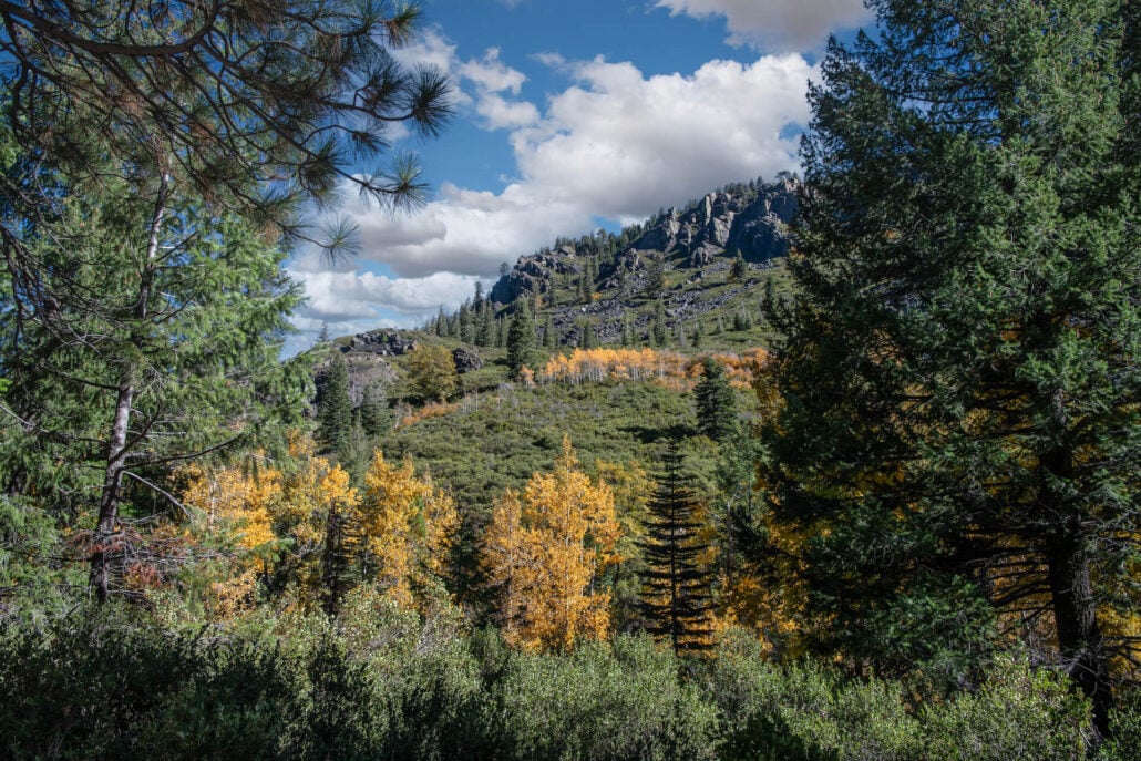 Highway 49 near salmon creek