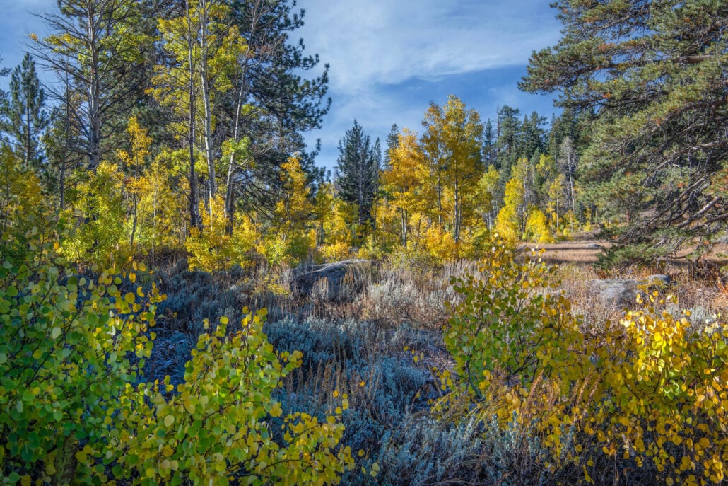 Highway 88 east of carson pass