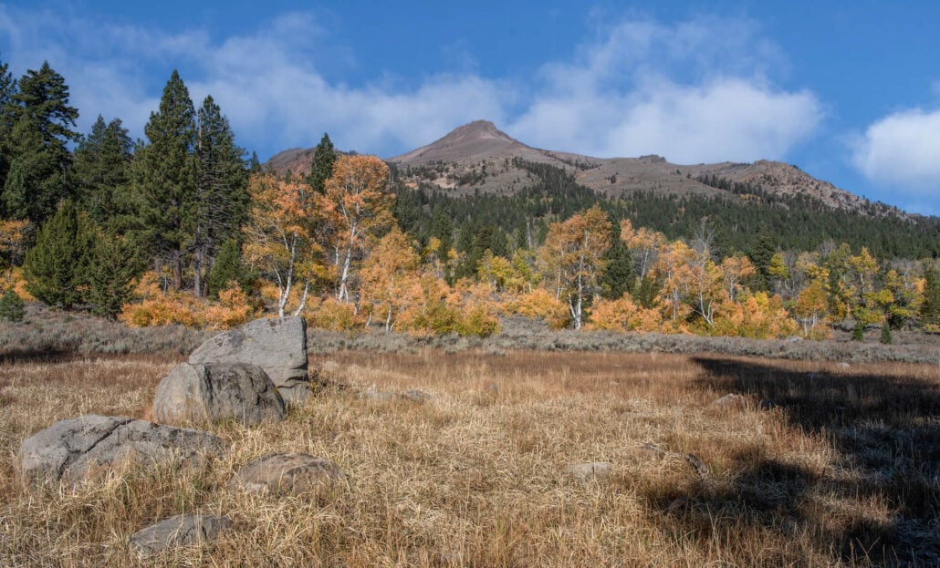 Highway 88 east of carson pass 2