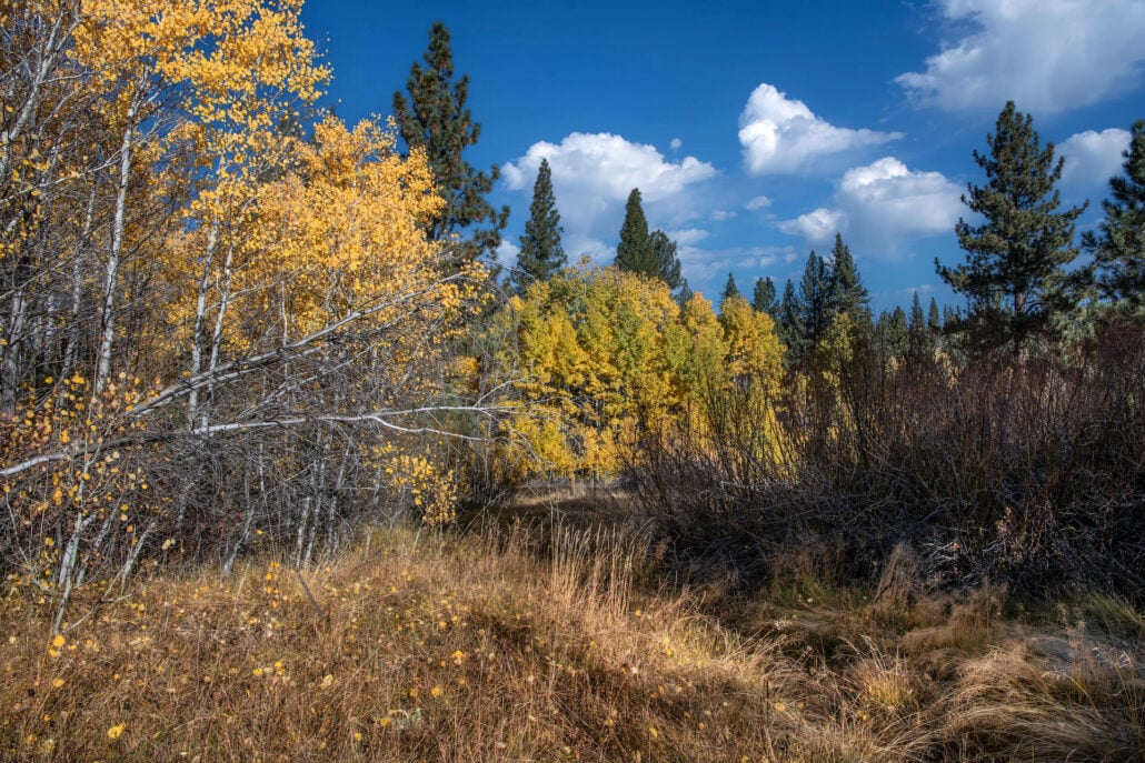 Highway 89 north of sierraville 2