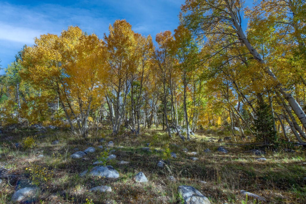 Hope valley 3