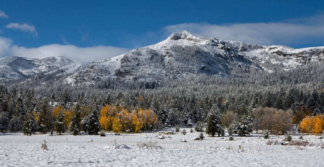 Hope valley pasture