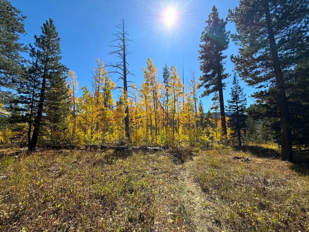 Img 0959 copy