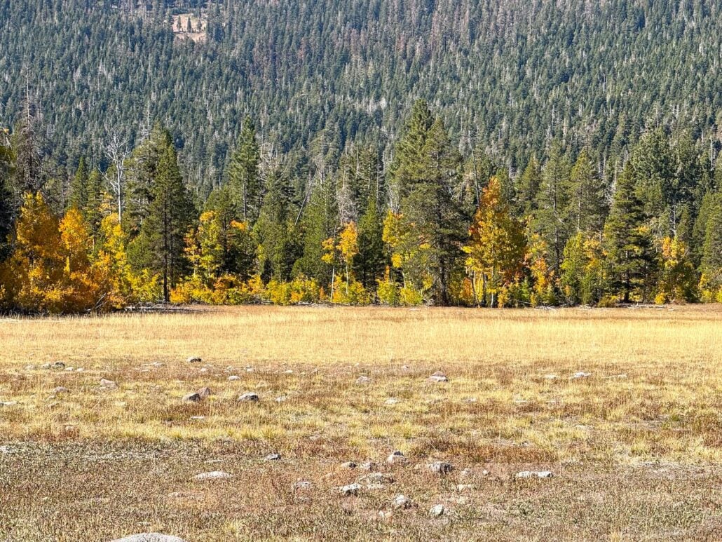 Img 0973 copy