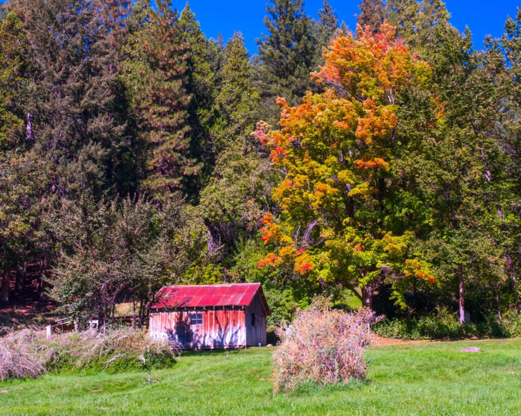 Indian valley fall courtesy of bob blesse 09