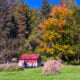 Indian valley fall courtesy of bob blesse 09