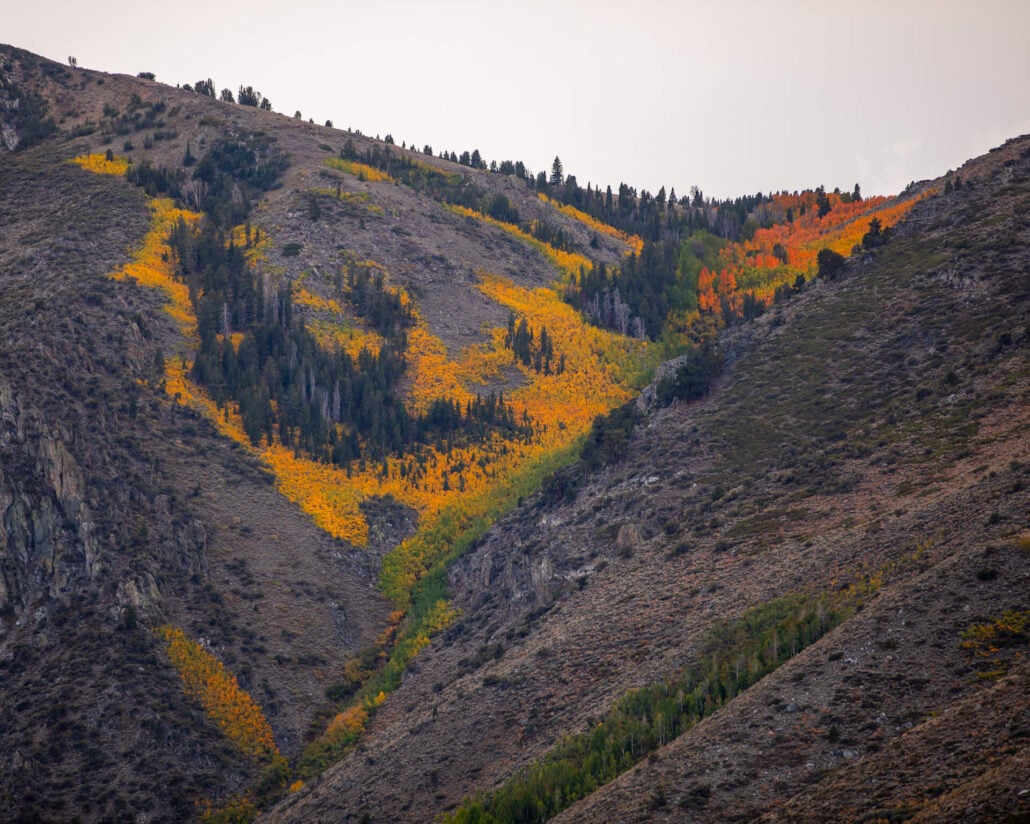 June lake loop (10 29 25) photo credit samantha lindberg mammoth lakes tourism 10