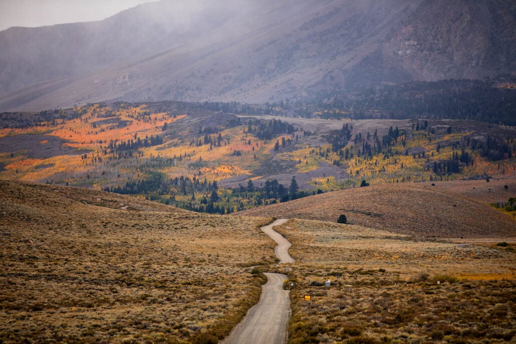 June lake loop (10 29 25) photo credit samantha lindberg mammoth lakes tourism 11