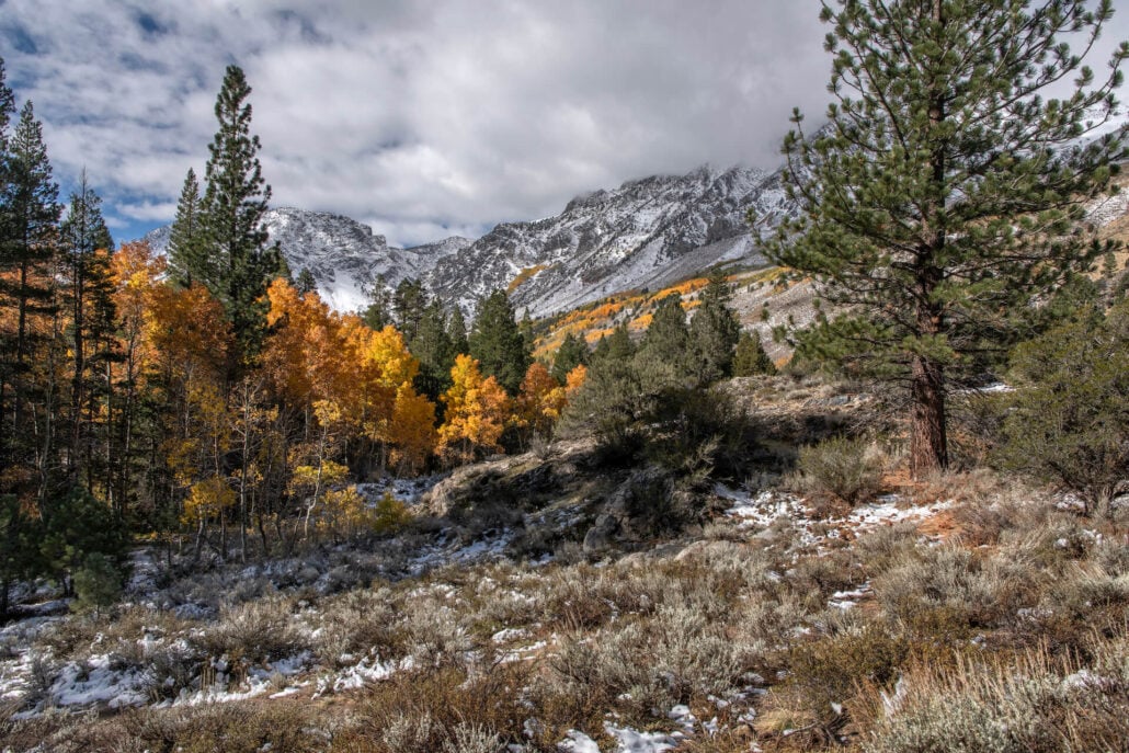 June lakes loop 3