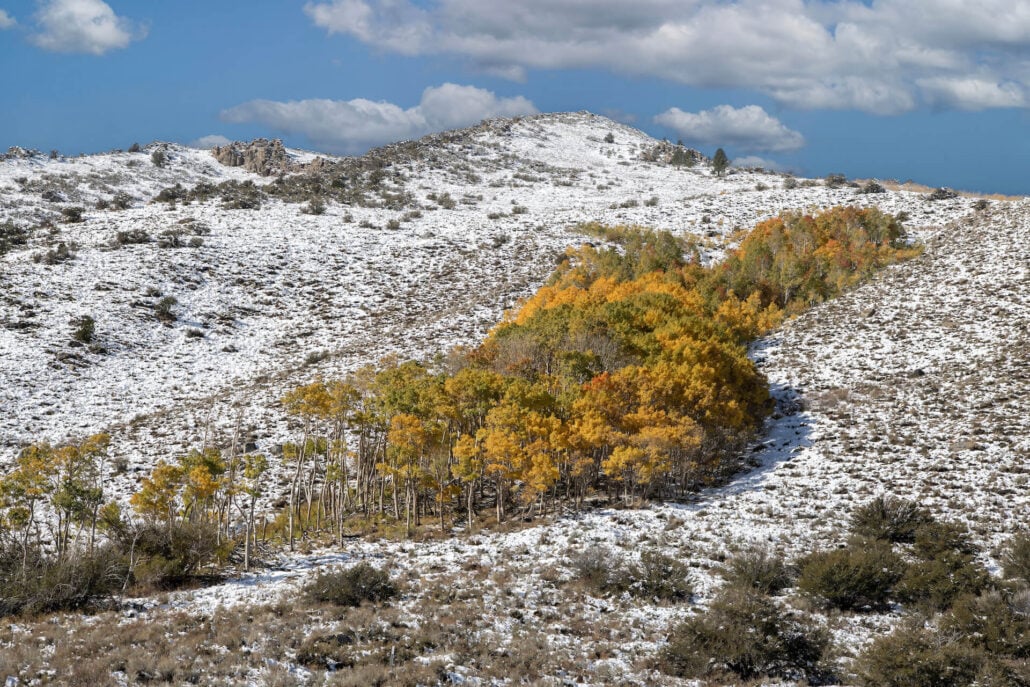 June lakes loop 6