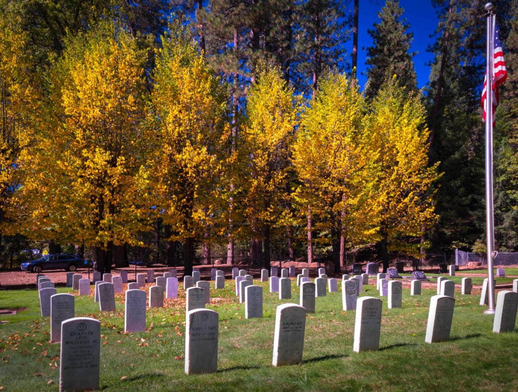Just in time for halloween at quincy cemetery by bob blesse