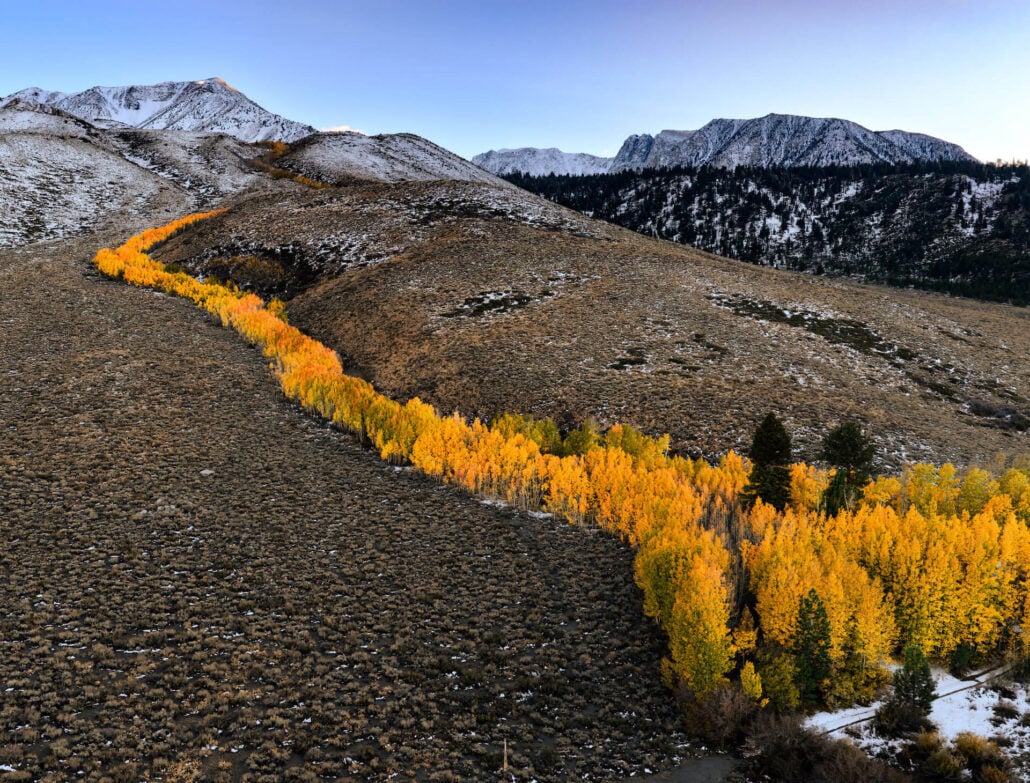 Laurel creek 1