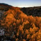 Laurel creek 3