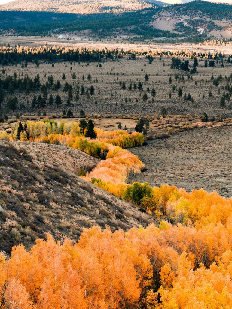 Laurel creek 4