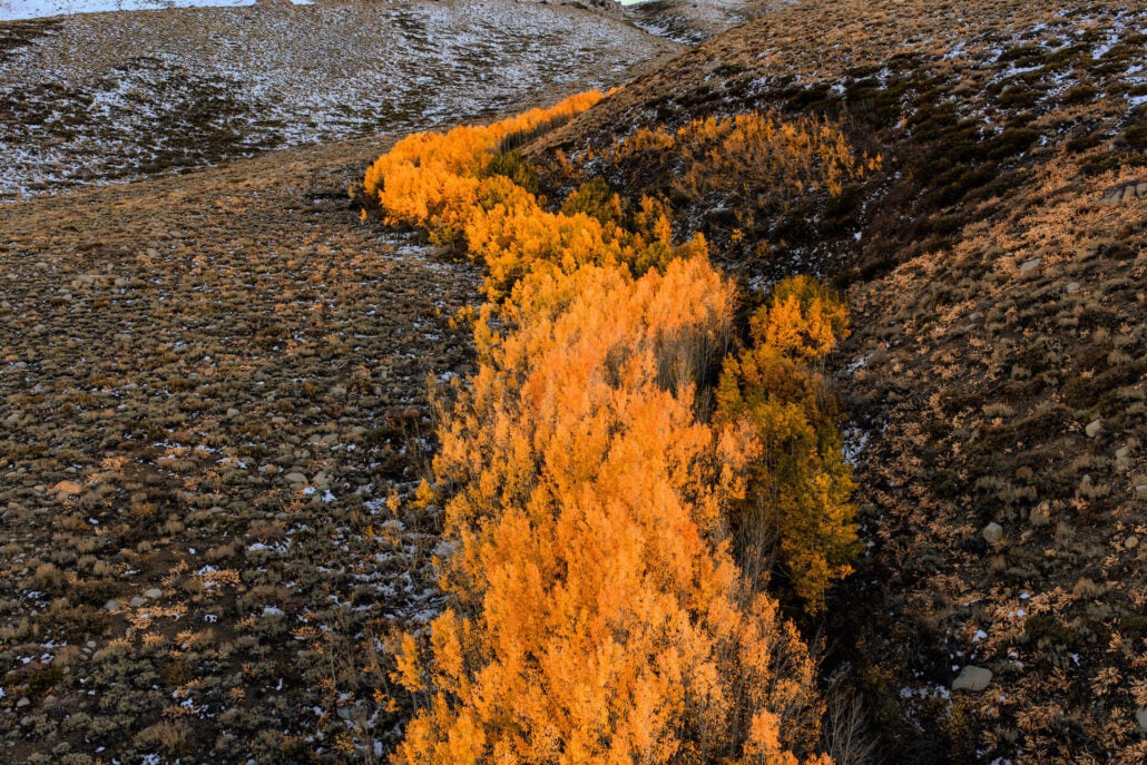 Laurel creek 5