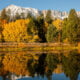 Lee vining fall colors (10 20 25) credit samantha lindberg mammoth lakes tourism 2