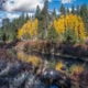Little truckee river 2