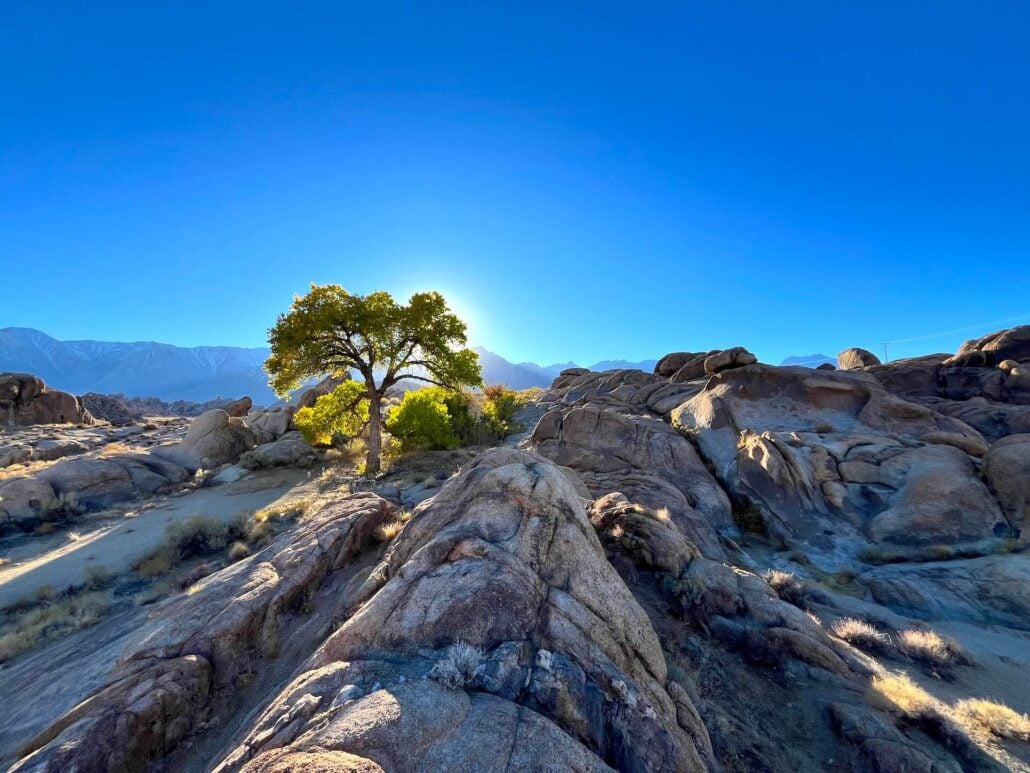 Lone pine 10 21 25 3