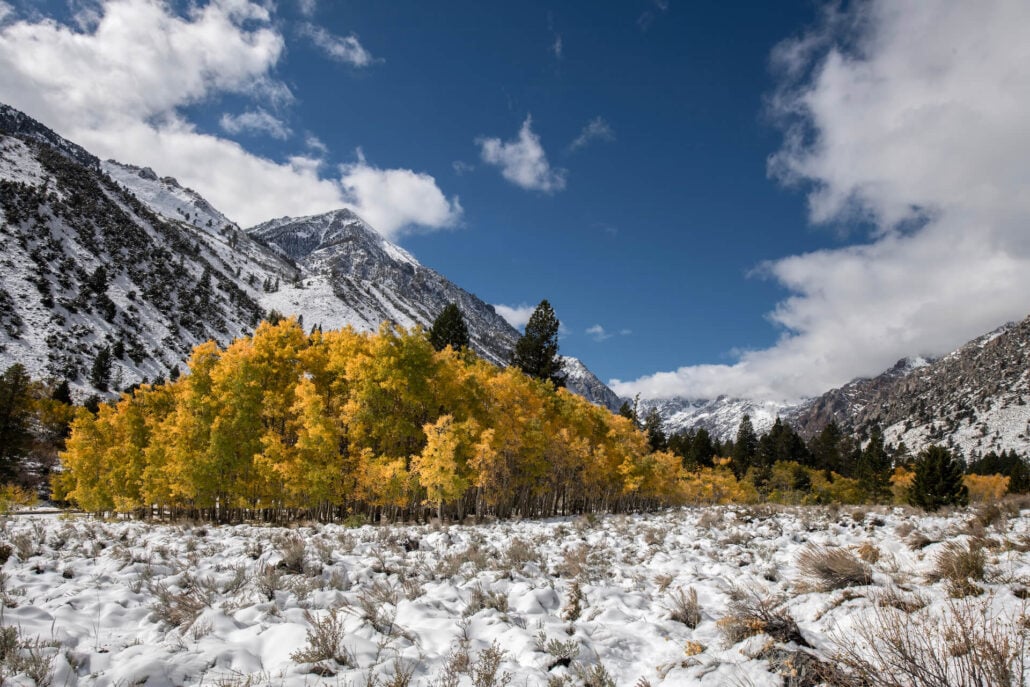 Lundy lake road
