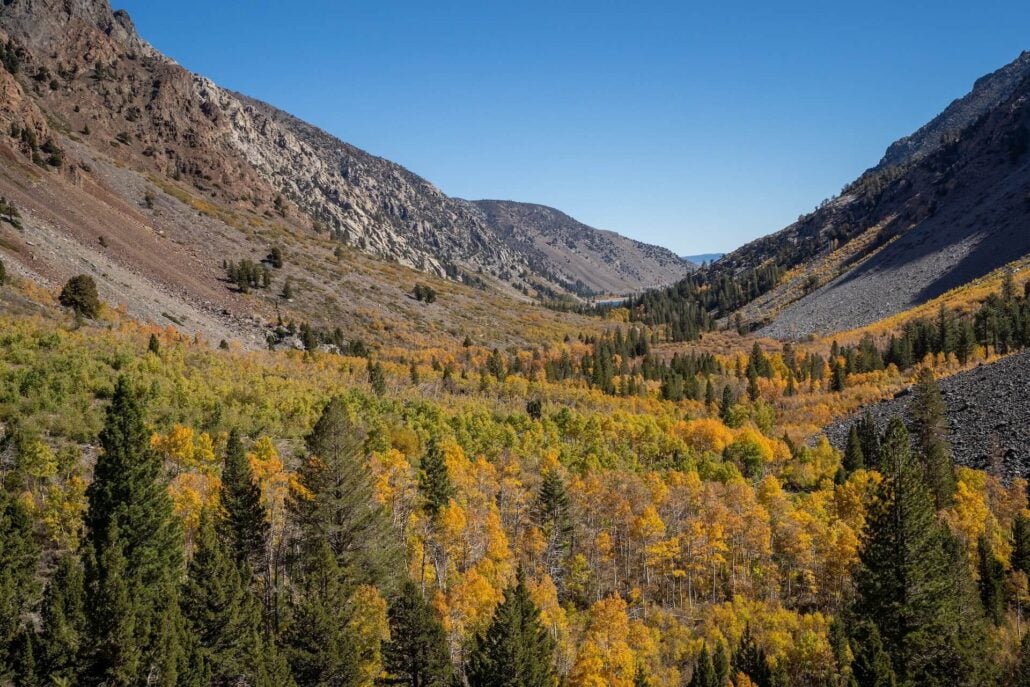 Lundy canyon (7)