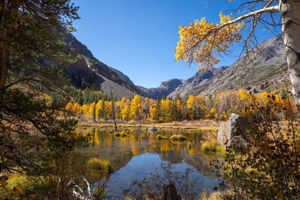 Lundy canyon (8)
