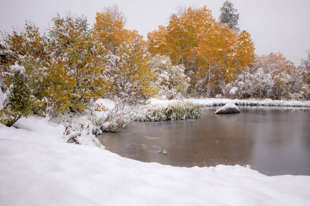 Mammoth lakes snow (10 14 25) photo credit samantha lindberg mammoth lakes tourism 24