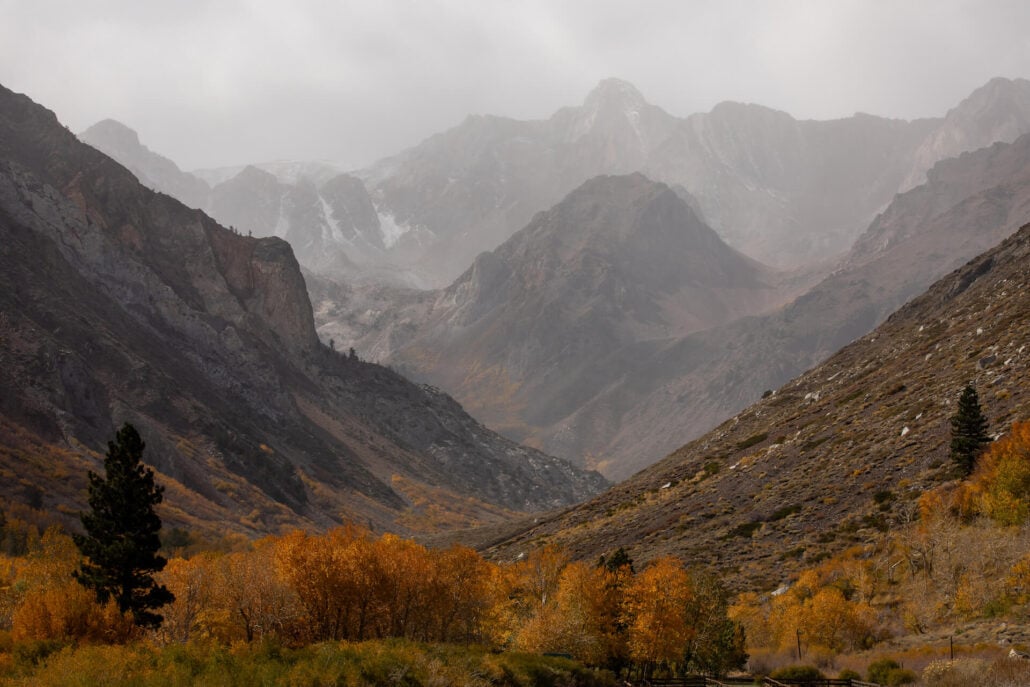 Mcgee canyon (10 13 25) photo credit samantha lindberg mammoth lakes tourism